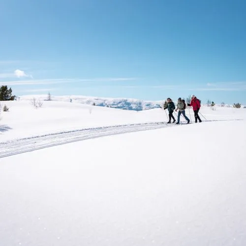 Tre langrennsløpere i en snødekt løype under blå himmel
